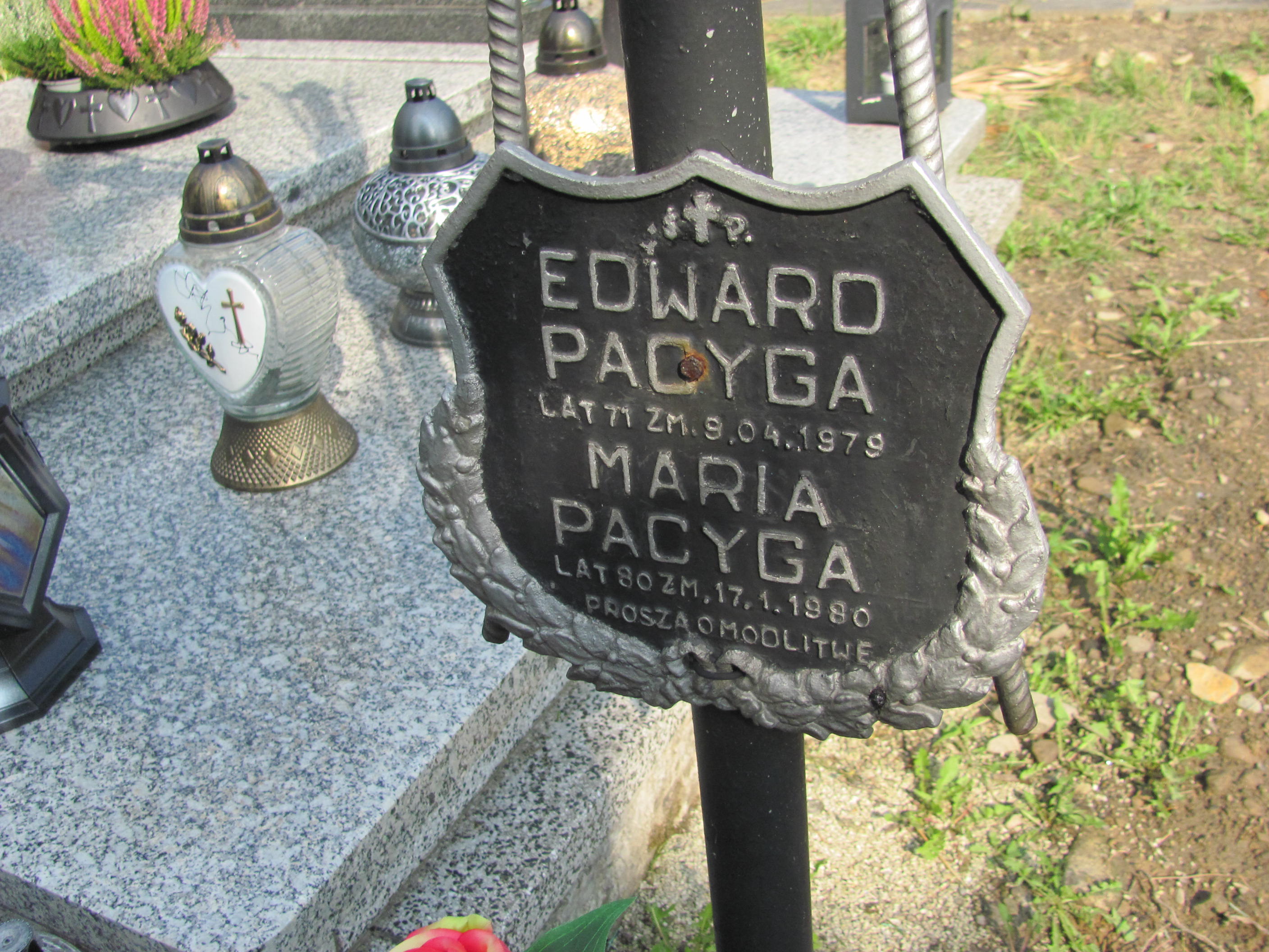 Maria Pacyga Zawoja - Grobonet - Wyszukiwarka osób pochowanych