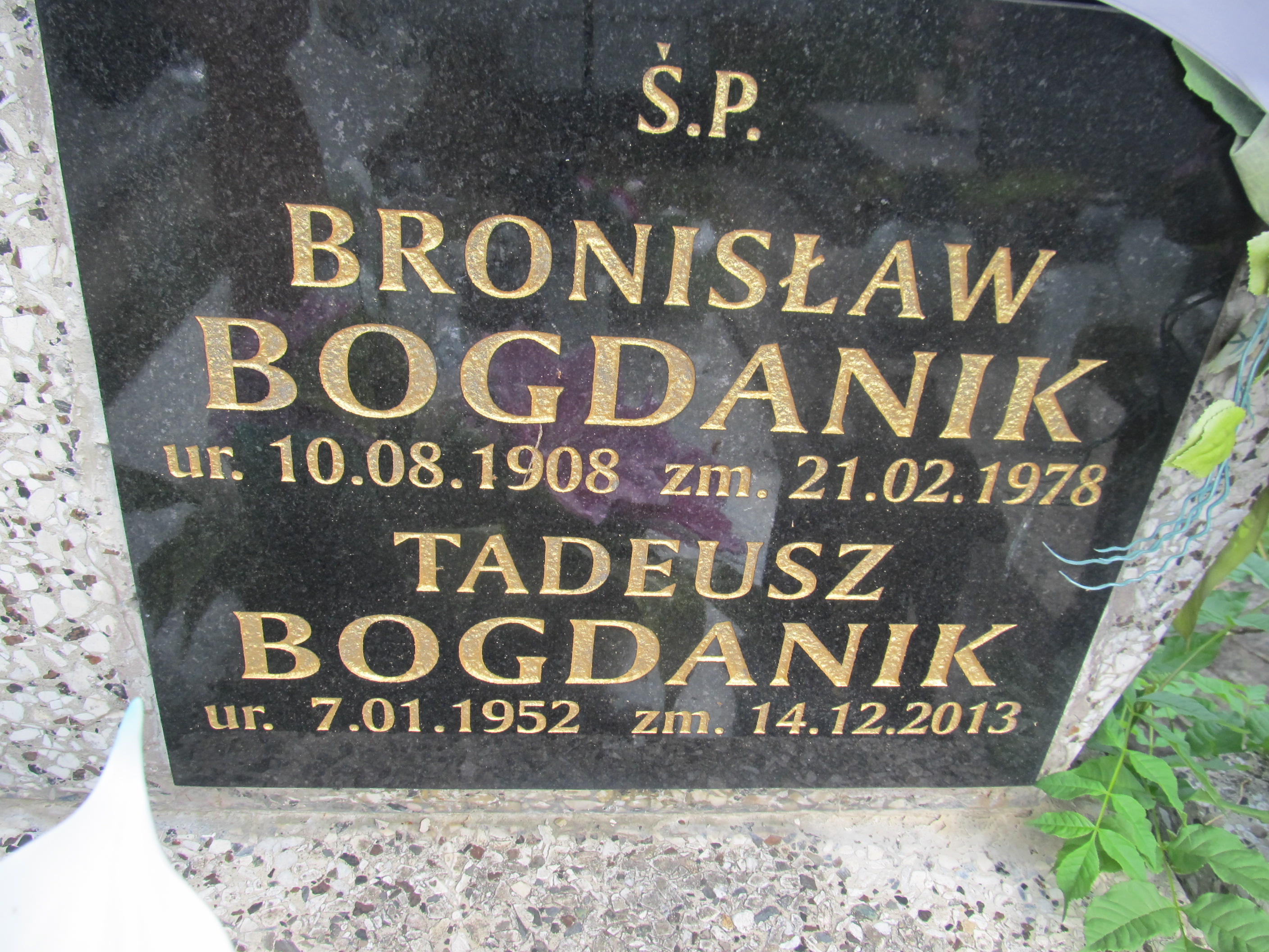 Tadeusz Bogdanik 1952 Zawoja - Grobonet - Wyszukiwarka osób pochowanych