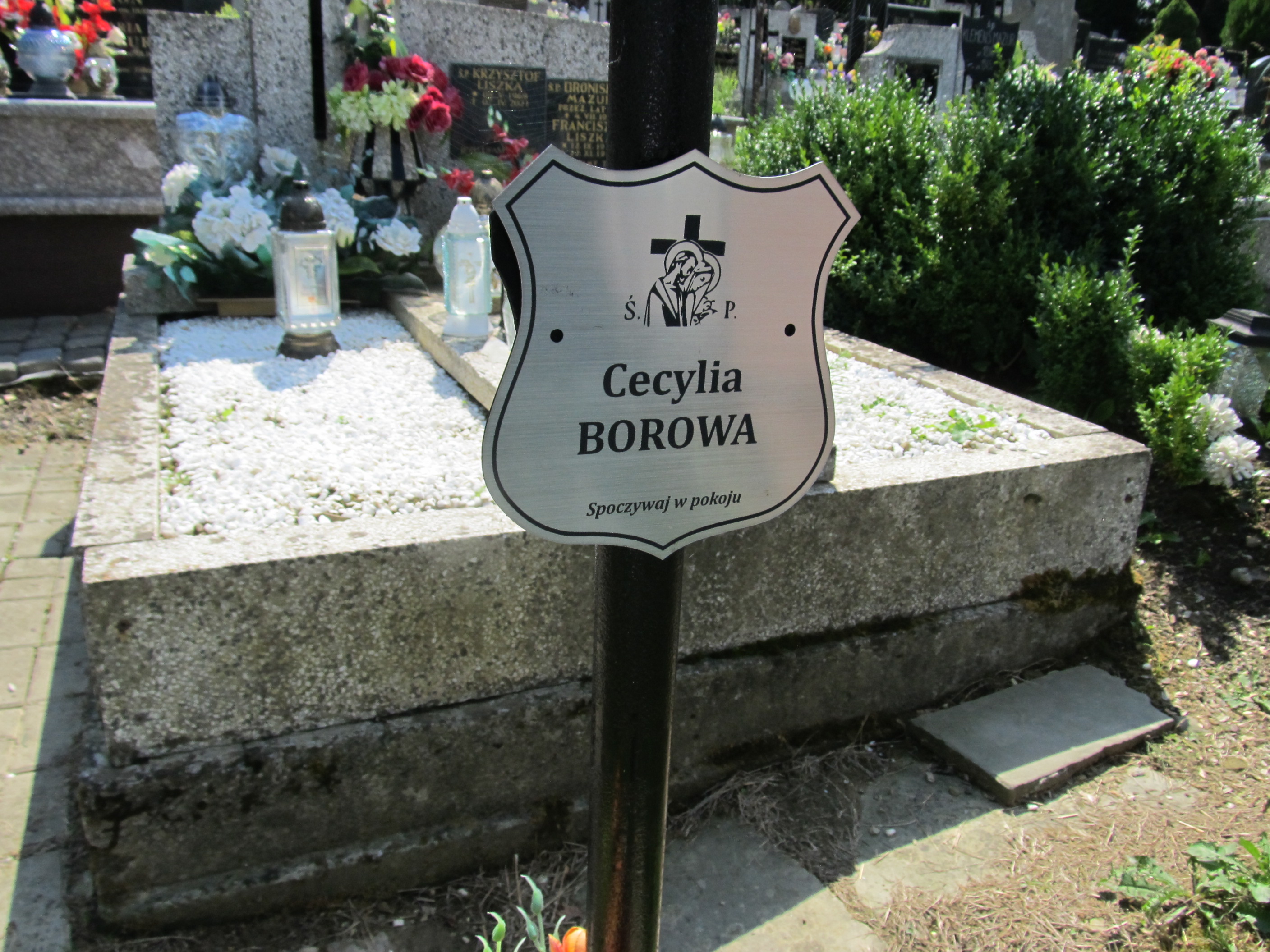 Zdjęcie grobu